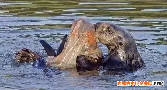 微信图片_20190709150056