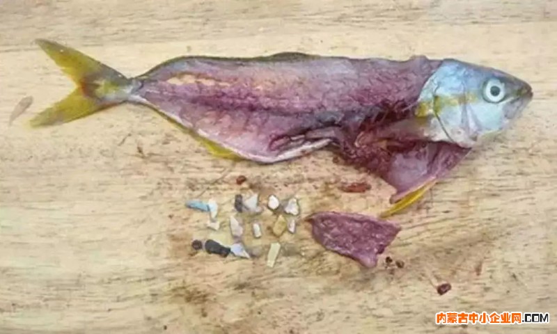 微信图片_20190709150109