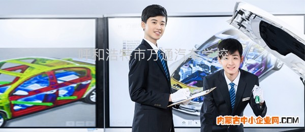 汽车运用与新能源技术工程师