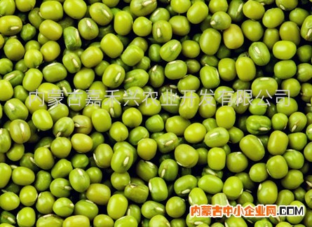 绿豆