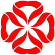 包头现代医院有限责任公司